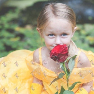 princess belle birthday costume gown dress