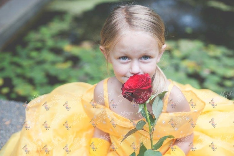 princess belle birthday costume gown dress