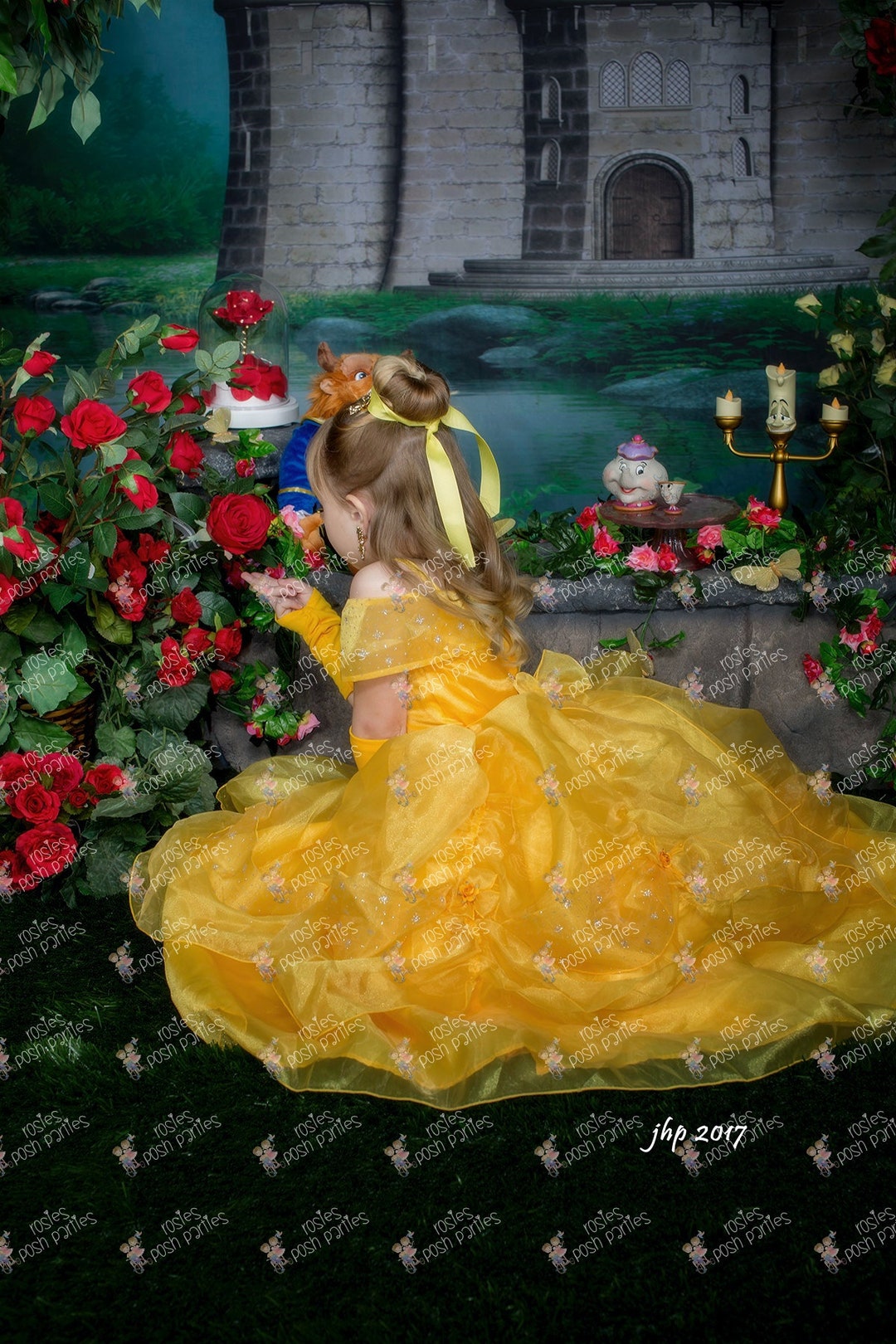 Princess Belle Dress for Birthday Costume or Photo Shoot Belle
