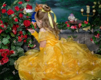 Princess Belle dress for Birthday costume or Photo shoot Belle dress outfit Birthday dress Belle costume Princess dress for Birthday party