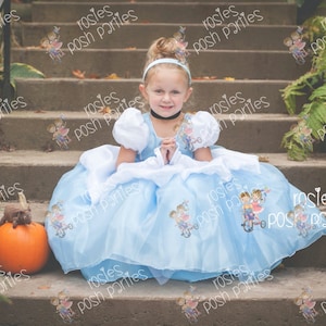 Vestido de Cenicienta para traje de cumpleaños o sesión de fotos Traje de vestido de Cenicienta Vestido de cumpleaños Traje de Cenicienta Vestido de princesa para cumpleaños imagen 7