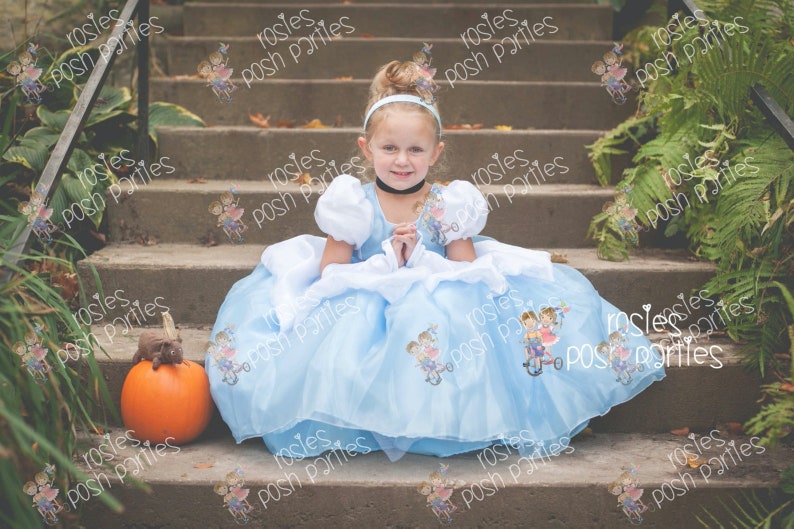 Vestido de Cenicienta para traje de cumpleaños o sesión de fotos Traje de vestido de Cenicienta Vestido de cumpleaños Traje de Cenicienta Vestido de princesa para cumpleaños imagen 7