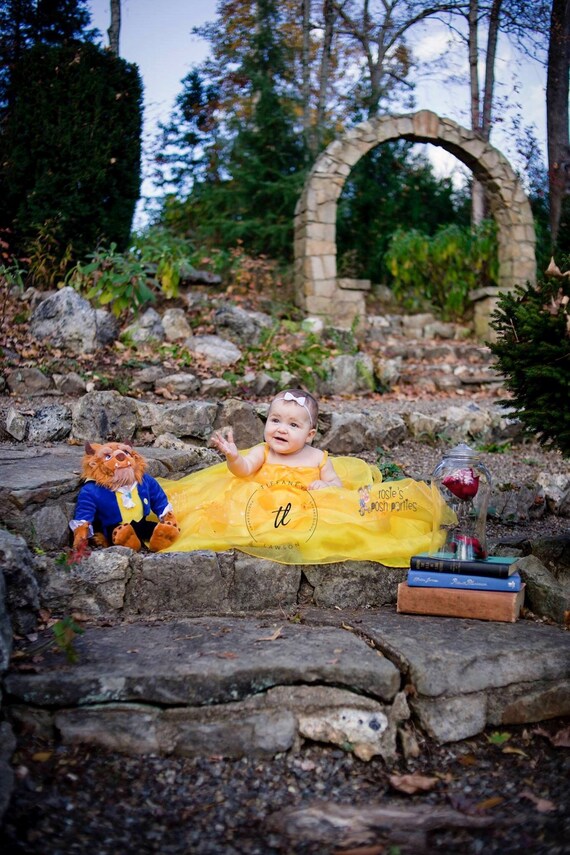 Princess Belle dress for Birthday costume or Photo shoot Belle dress outfit Birthday dress Belle costume Princess dress for Birthday party Il_570xn