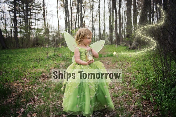 Tinkerbell Fairy dress for Birthday costume or Photo shoot Tinkerbell dress outfit Birthday dress costume Princess dress for Birthday party Il_570xn