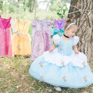 Cinderella dress for Birthday costume or Photo shoot Cinderella dress outfit Birthday dress Cinderella costume Princess dress for Birthday image 8