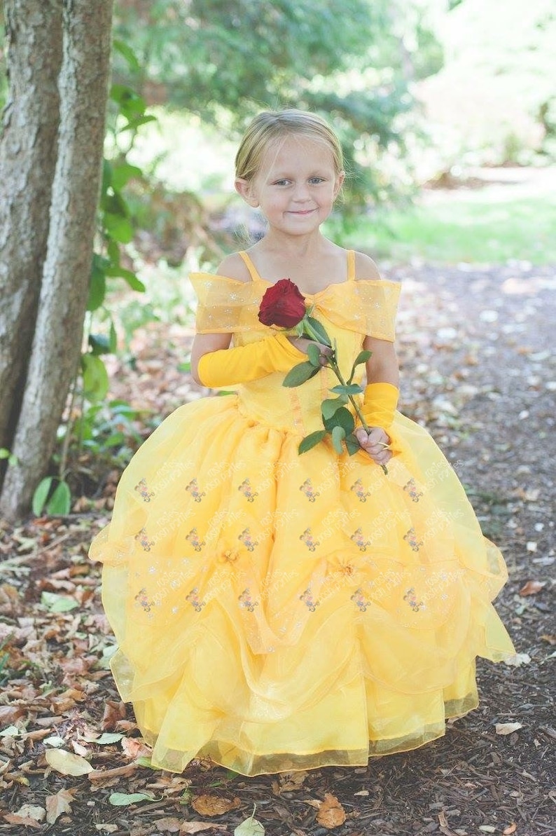princess belle birthday costume gown dress