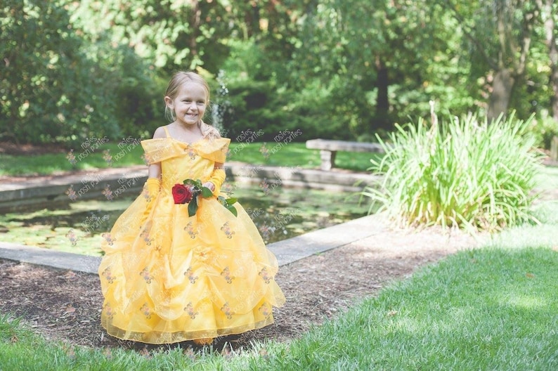 princess belle birthday costume gown dress