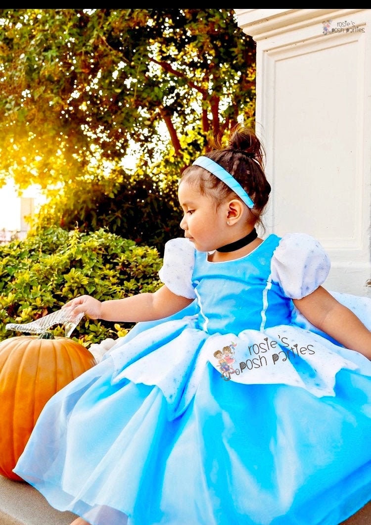 cinderella birthday dress