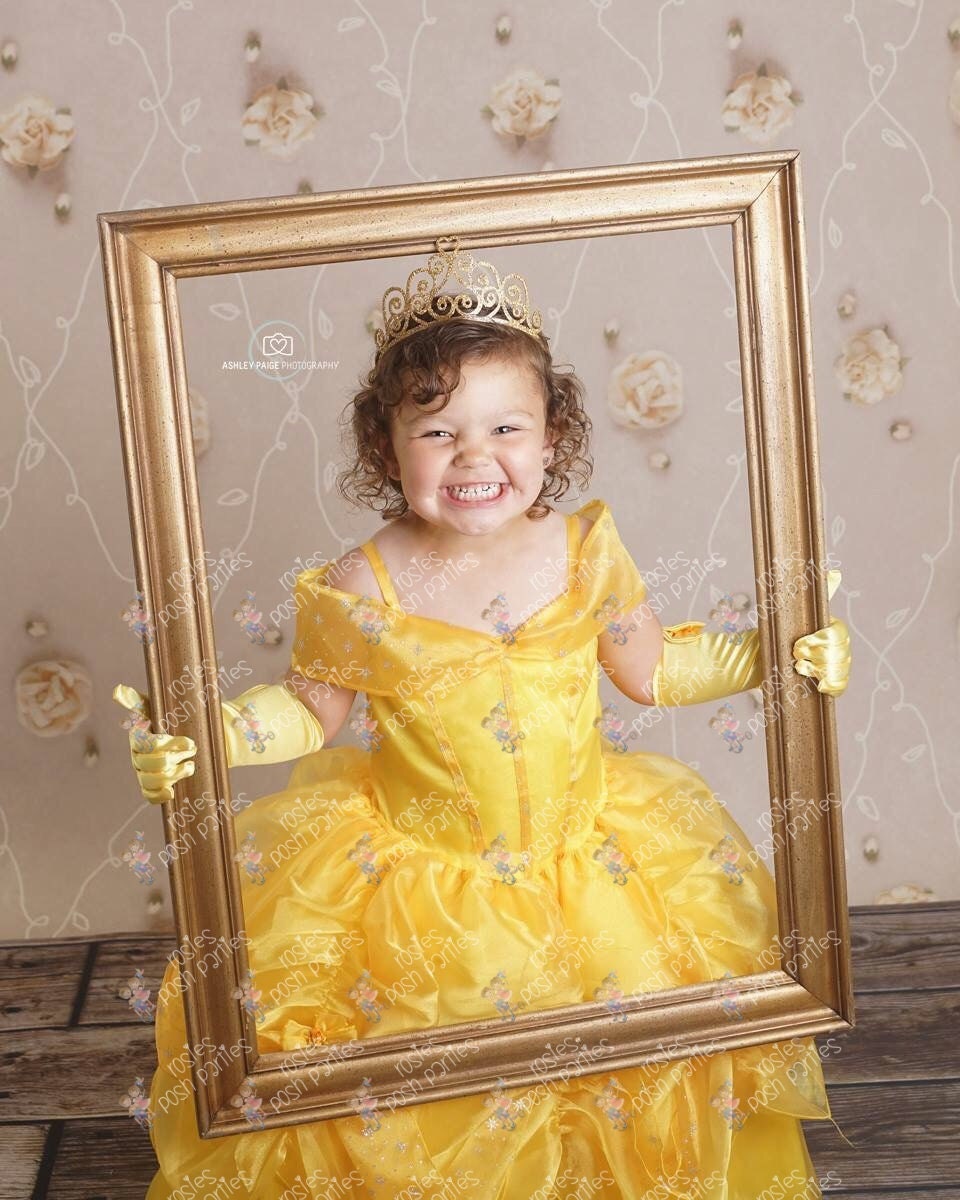 Princess Belle Dress For Birthday Costume Or Photo Shoot Belle Etsy Uk