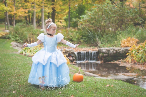 Cinderella dress for Birthday costume or Photo shoot Cinderella dress outfit Birthday dress Cinderella costume Princess dress for Birthday Il_570xn