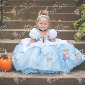 Cinderella dress for Birthday costume or Photo shoot Cinderella dress outfit Birthday dress Cinderella costume Princess dress for Birthday image 3