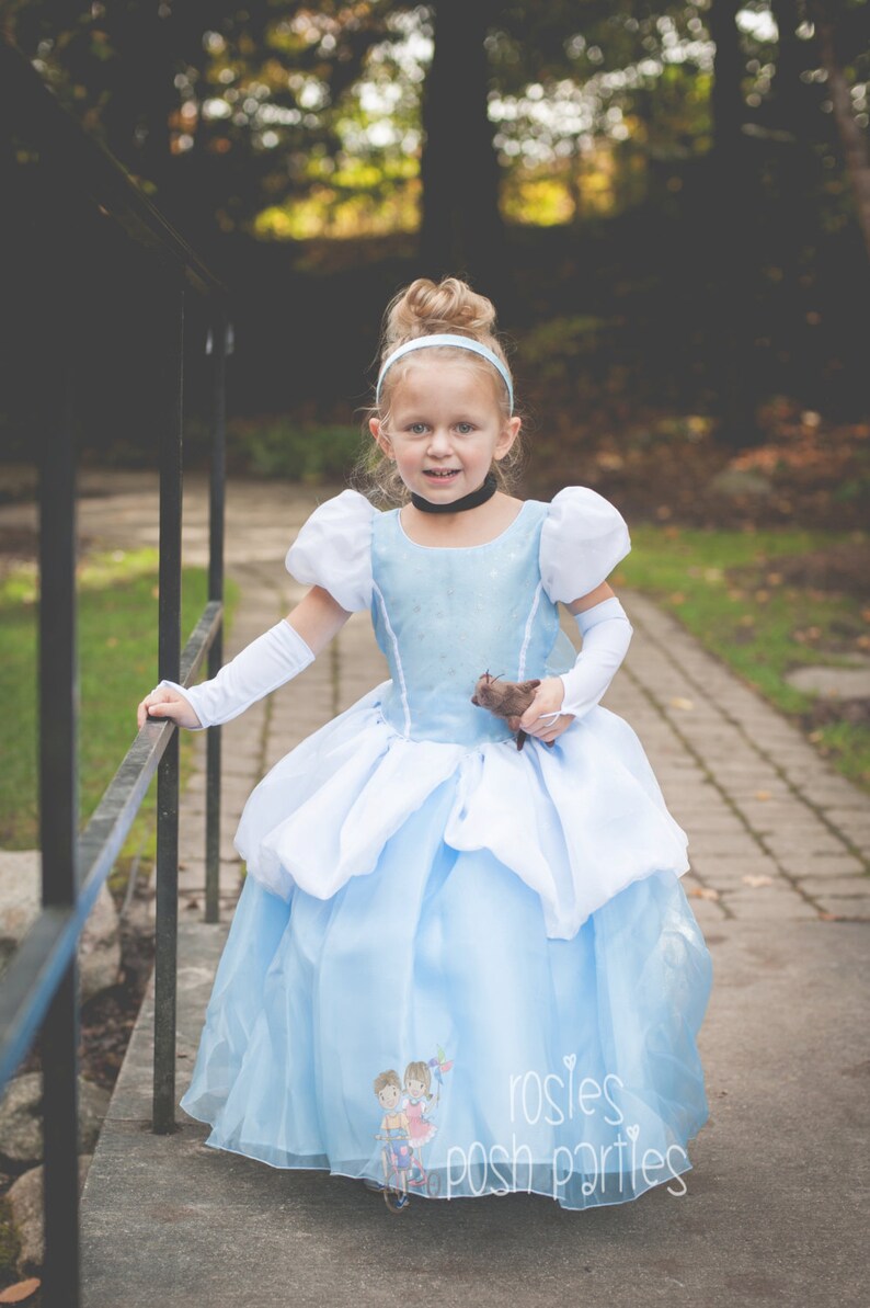 Cinderella dress for Birthday costume or Photo shoot Etsy