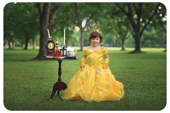 Princess Belle dress for Birthday costume or Photo shoot Belle dress outfit Birthday dress Belle costume Princess dress for Birthday party Il_570xn