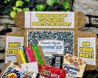 Finals Week Care Package | University and College Care Package | Student Care Package | College Care Package | Love Package | College Gift