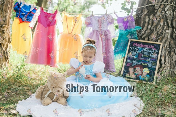 Cinderella dress for Birthday costume or Photo shoot Cinderella dress outfit Birthday dress Cinderella costume Princess dress for Birthday Il_570xn