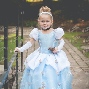 Vestido de Cenicienta para traje de cumpleaños o sesión de fotos Traje de vestido de Cenicienta Vestido de cumpleaños Traje de Cenicienta Vestido de princesa para cumpleaños imagen 4