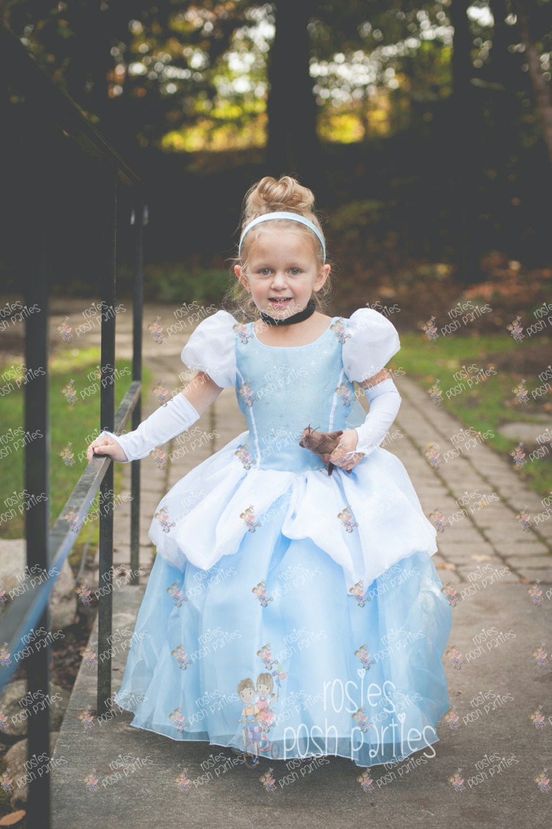 Vestido de Cenicienta para traje de cumpleaños o sesión de fotos Traje de vestido de Cenicienta Vestido de cumpleaños Traje de Cenicienta Vestido de princesa para cumpleaños imagen 4