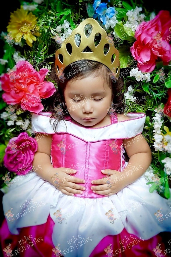 Aurora Sleeping Beauty dress for Birthday costume or Photo - Etsy México Aurora Sleeping Beauty dress for Birthday costume or Photo - Etsy México