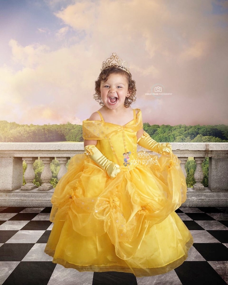 Princess Belle dress for Birthday costume or Photo shoot Belle | Etsy
