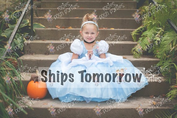 Cinderella dress for Birthday costume or Photo shoot Cinderella dress outfit Birthday dress Cinderella costume Princess dress for Birthday Il_570xn