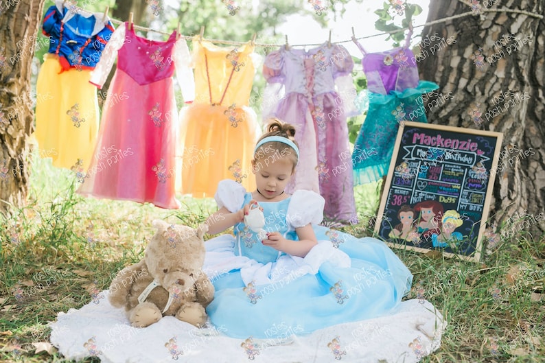 Cinderella dress for Birthday costume or Photo shoot Cinderella dress outfit Birthday dress Cinderella costume Princess dress for Birthday image 1