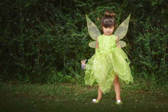 Tinkerbell Fairy dress for Birthday costume or Photo shoot Tinkerbell dress outfit Birthday dress costume Princess dress for Birthday party Il_570xn