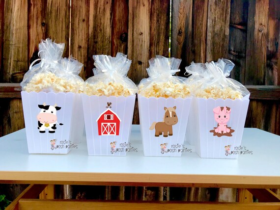 Farm Theme Birthday Party Favor Centerpiece Farm Animals Party