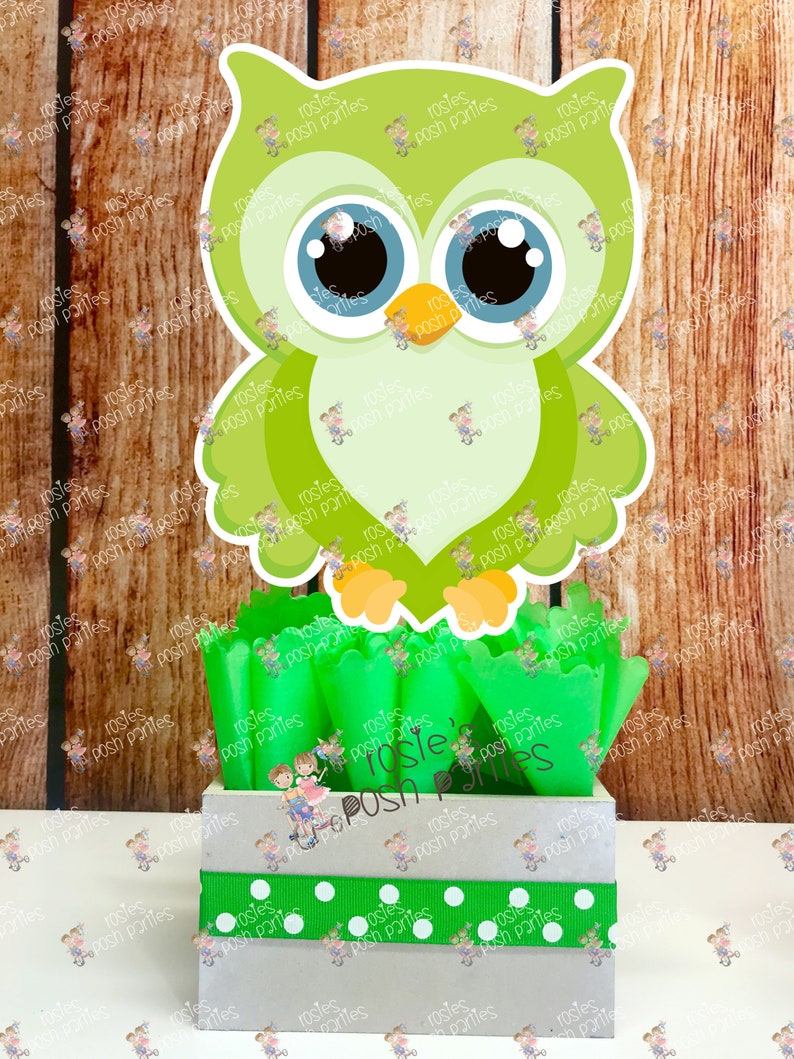 Owl Baby Shower Theme Owl Party Owl Hoot Shower Owl Etsy