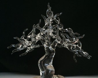 Bonsai Tree Handblown Glass Sculpture