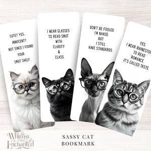Cat lover Handmade Bookmarks, Funny Cat Lover Gift, Cute Reading Accessories, Smut Reader Bookmark, Bookish Gift for Her,  Stocking Stuffer