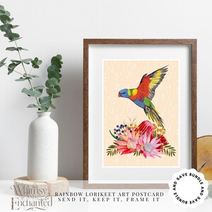 Cartão postal de arte de lorikeet arco-íris australiano, cartão de felicitações de lembrança, impressões de parede artísticas, cartão postal de ilustração, impressão botânica australiana