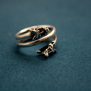 May include: A silver ring with two dragon heads wrapped around the band.