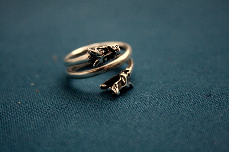 May include: A silver ring with two dragon heads wrapped around the band.