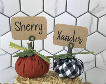 Pumpkin Thanksgiving Place Cards,  Rustic Wedding Personalized