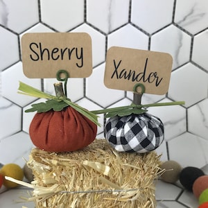 Pumpkin Thanksgiving Place Cards,  Rustic Wedding Personalized