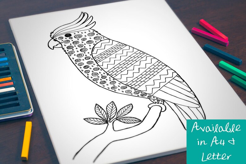 Printable Colouring Page Patterned Cockatoo Instant Digital Etsy