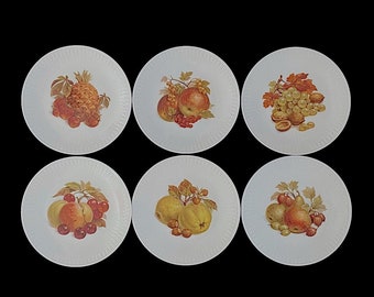 Vintage Mid Century German Set of 6 Plates 7.75" with Fruit Scenes Hutschenreuther Selb Porcelain Germany Fruits Theme