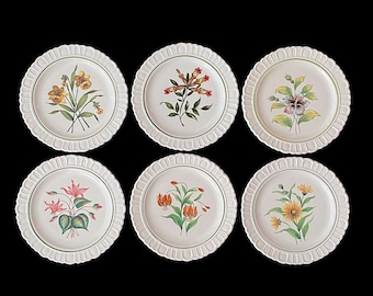 Vintage Mid Century 1950s Italian FINE Set of 6 Ceramic Hand Painted Plates with Botanical Floral Scenes Italy for F.B.