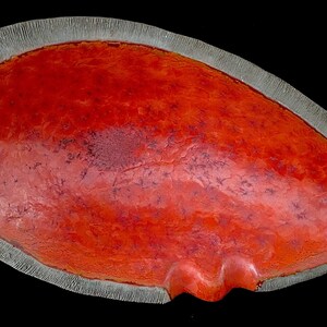 Vintage Mid Century Modern Italian Marcello Fantoni Large Pottery Ceramic Ashtray Bowl with Red Glaze ITALY image 6