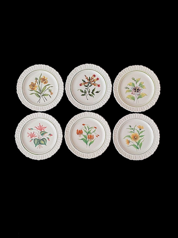 Vintage Mid Century 1950s Italian FINE Set of 6 Ceramic Hand