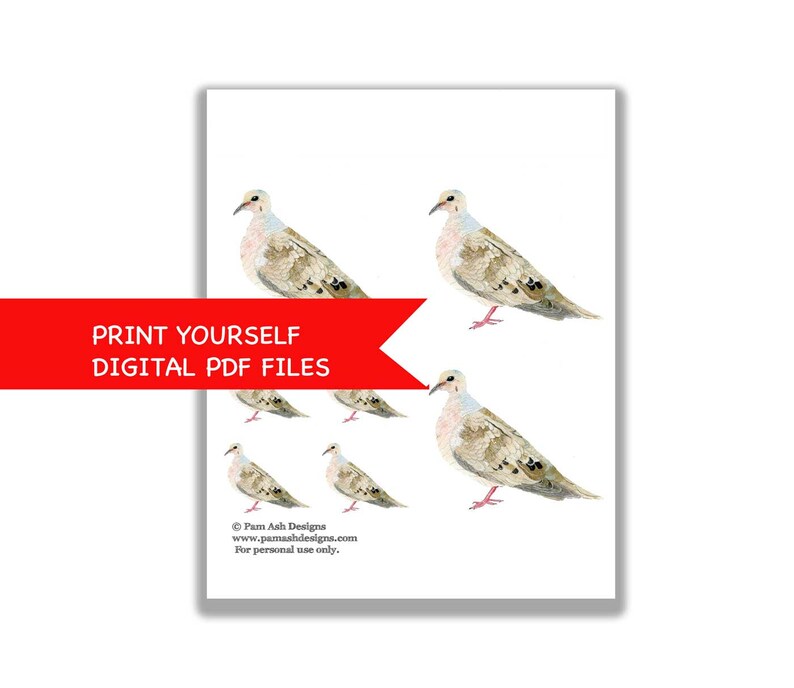 Mourning Dove Printable Card Kit | Mourning Dove Watercolor Clipart for ...
