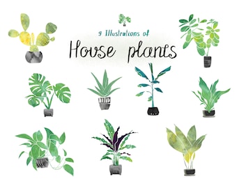 House plant digital download Illustration bundle PNG files