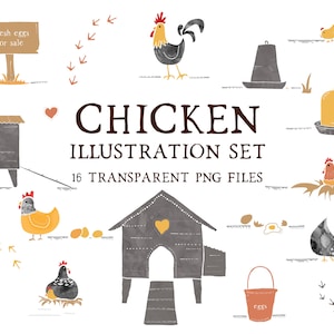 Chicken colourful digital download Illustration bundle transparent PNG files
