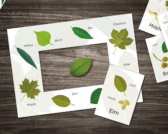 Tree Leaf & Seed Identification Cards: Forest School Printable (Digital Download)