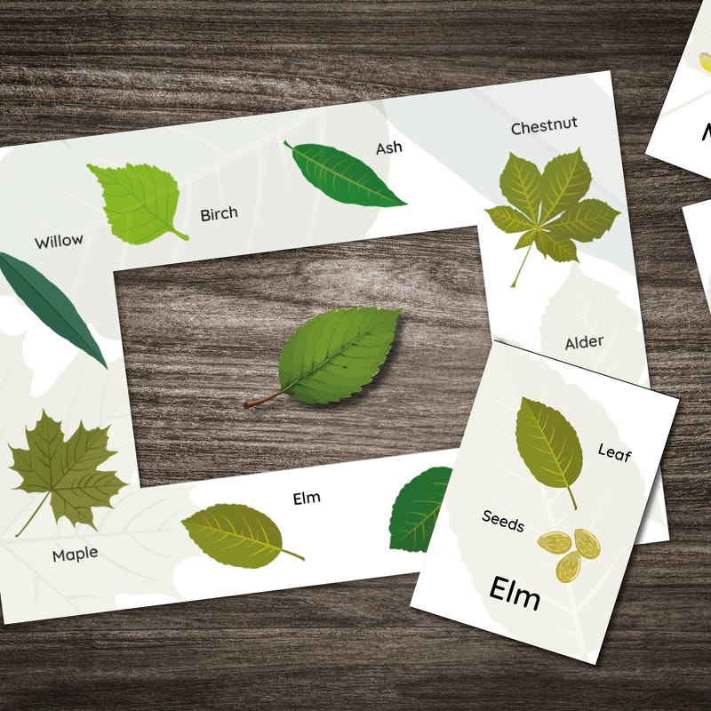 Eyfs Activity Cards - Etsy