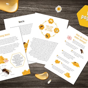 May include: A colourful educational booklet about honey bees with illustrations of bees, honeycombs, and flowers. The booklet includes information about the life cycle of a bee, how bees make honey, and the different types of bees in a hive. The cover of the booklet says "16 pages".