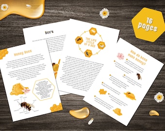 Bees Nature Study Pack: Honey Bee Educational Tool (Digital Download)