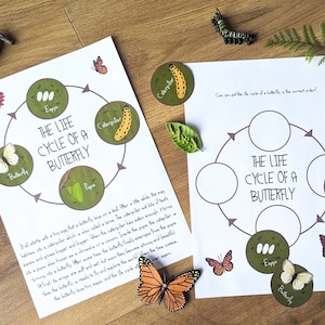 Pacchetto di studio sull'unità naturalistica - aula all'aperto - più schede di identificazione - pacchetto scuola forestale - risorse educative - bosco