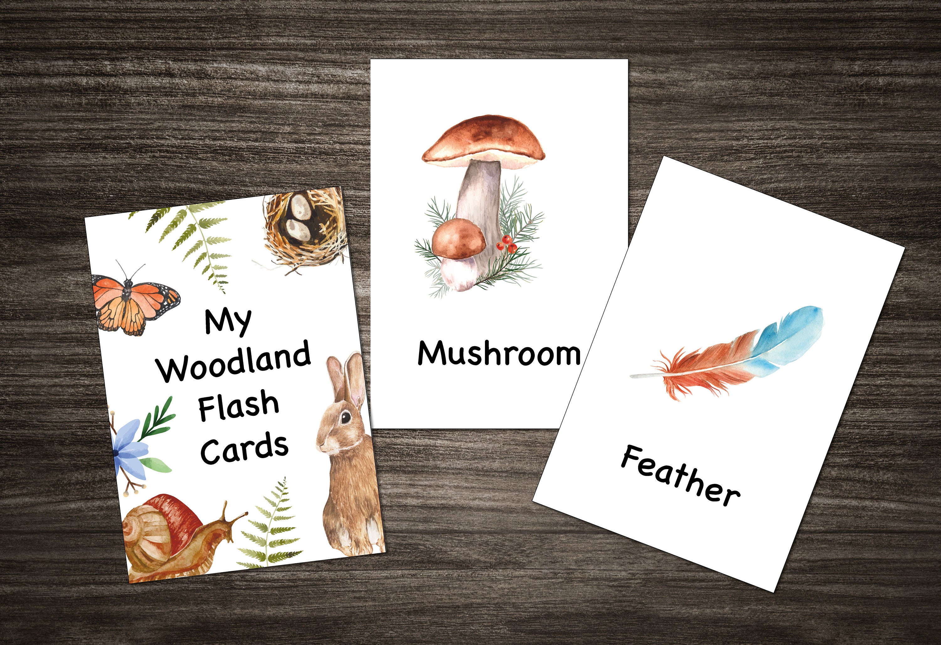 Woodland Forest Flash Cards: Nature Learning (digital Download) - Etsy