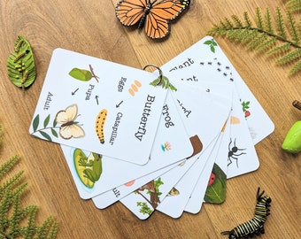 Life Cycle Flash Cards: Nature Biology Printable (Instant Download)